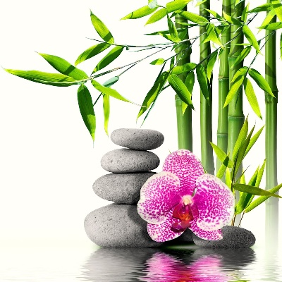 Orchid Thai Therapy in Mechelen logo