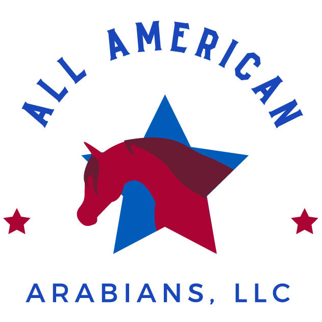 All American Arabians logo