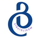 Stratolikom -  Brezovar Consulting logo