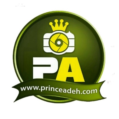 Prince Adeh Studios Inc logo