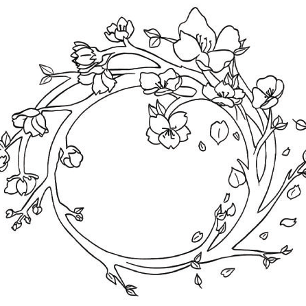 Bloom Wellness logo