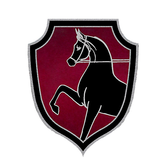 Lowe Riders Riding Academy logo
