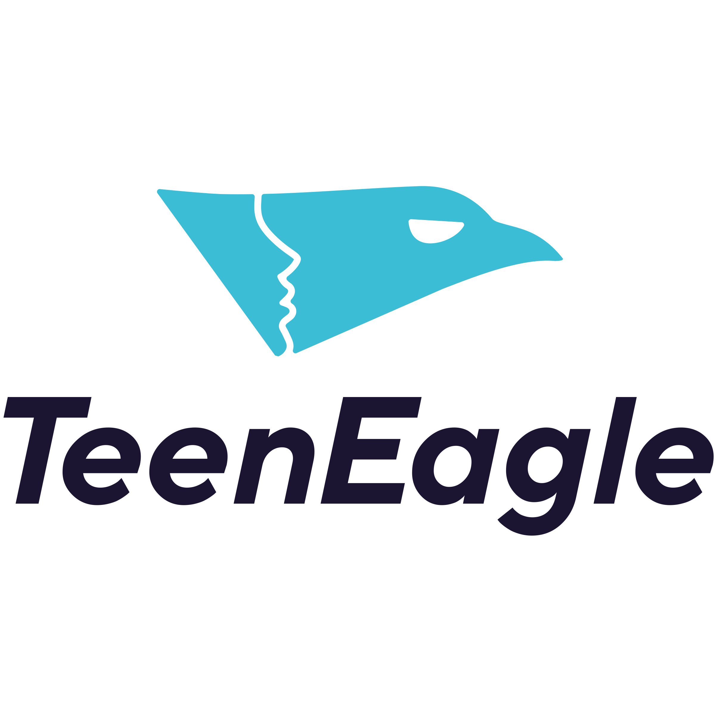 TeenEagle logo