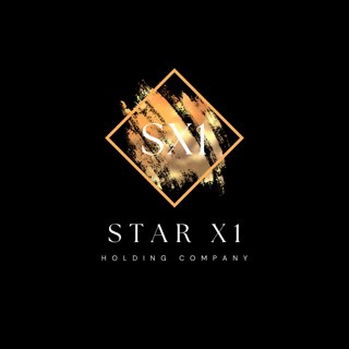 Star X1 Holdings logo