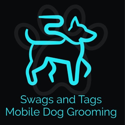 Swags and Tags logo
