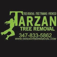 Tarzan Tree Removal logo