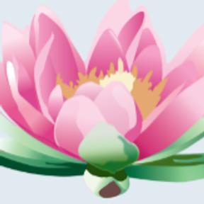 Natural Therapies Wellness Centre logo