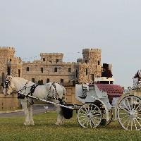 TC Carriage Co logo