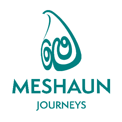 Meshaun Journeys logo