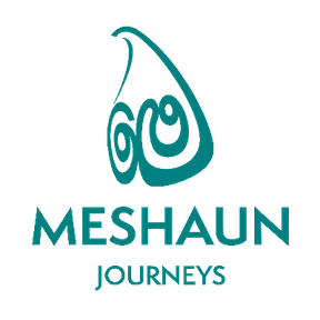 Meshaun Journeys logo