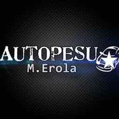 Autopesu M. Erola logo