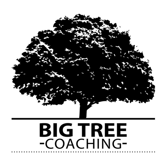 Big Tree Coaching logo